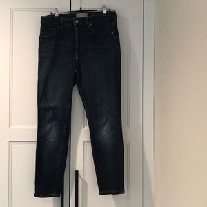 Everlane Black-Blue Skinny Jeans